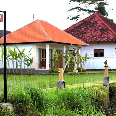 Padi Guest House Keramas Exteriér fotografie